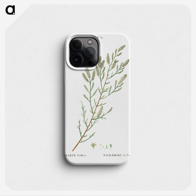 2-54_Treatise-on-Trees-and-Shrubs_phone
