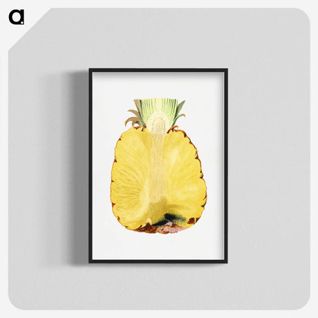 2-54_USDA-Watercolor-Fruit-Painting-Collection_blk-crop