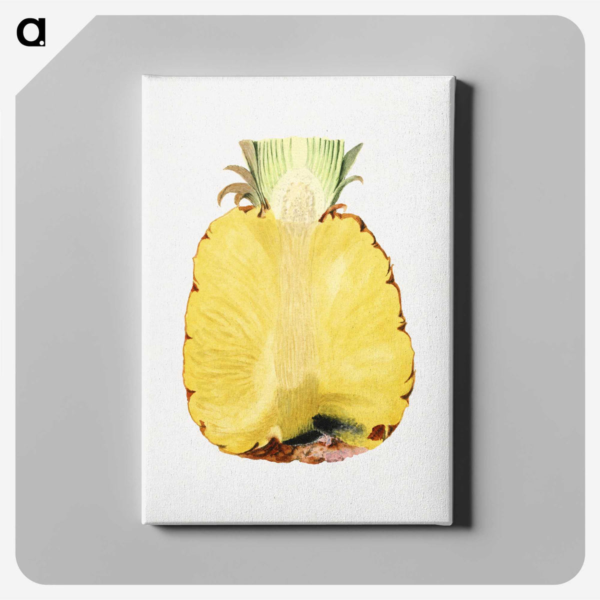 2-54_USDA-Watercolor-Fruit-Painting-Collection_canvas
