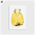 2-54_USDA-Watercolor-Fruit-Painting-Collection_postcard