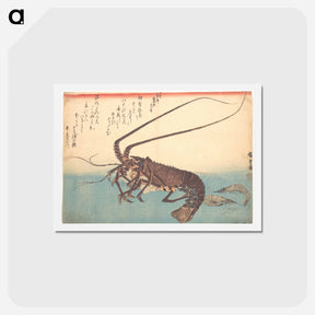 アートポストカード-Ise-ebi and Shiba-ebi, from the series Uozukushi
 - 歌川 広重 Postcard.