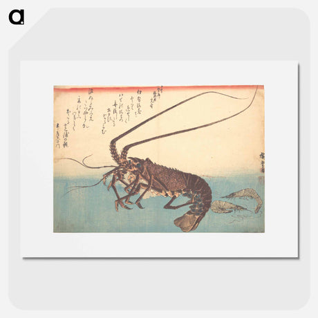 アートポスター-Ise-ebi and Shiba-ebi, from the series Uozukushi
 - 歌川 広重 Poster.
