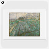 2-54_Vincent-van-Gogh_picture