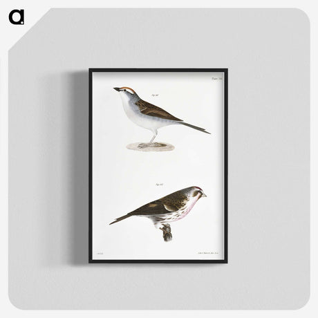 2-54_Zoology-of-New-York_blk-crop