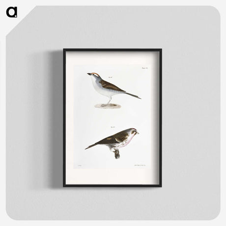 2-54_Zoology-of-New-York_blk