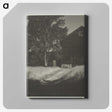 2-55_Alfred-Stieglitz_canvas