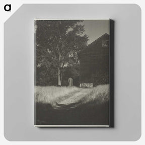2-55_Alfred-Stieglitz_canvas