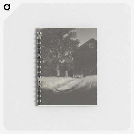 2-55_Alfred-Stieglitz_memo