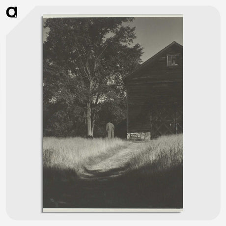 2-55_Alfred-Stieglitz_picture-crop