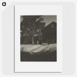 2-55_Alfred-Stieglitz_picture