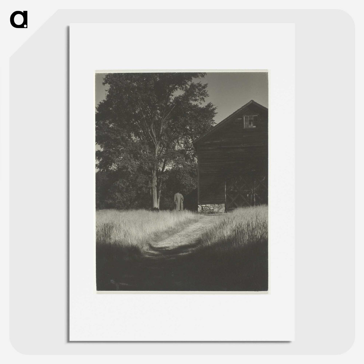 2-55_Alfred-Stieglitz_picture