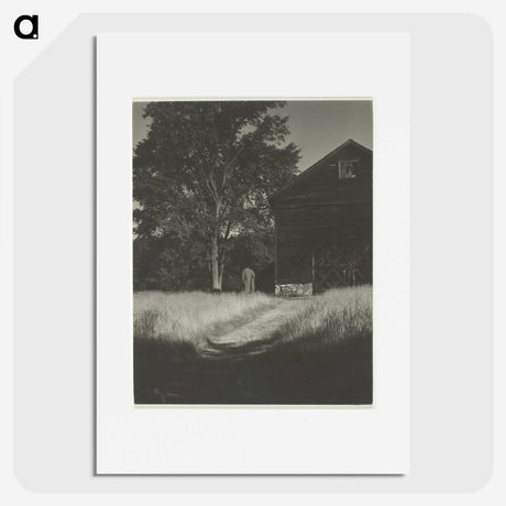 2-55_Alfred-Stieglitz_picture