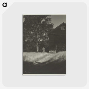 2-55_Alfred-Stieglitz_postcard
