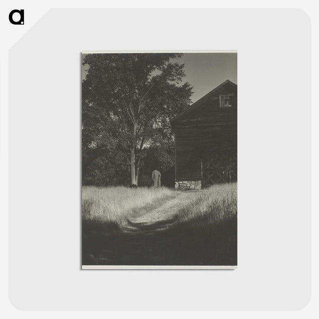 2-55_Alfred-Stieglitz_postcard
