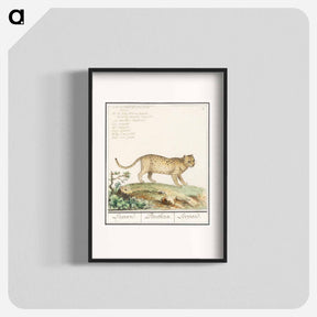 アートポスター-Leopard - アンセルムス ボエティウス デ ブート Poster.