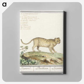 2-55_Anselmus-Boetius-de-Boodt_canvas
