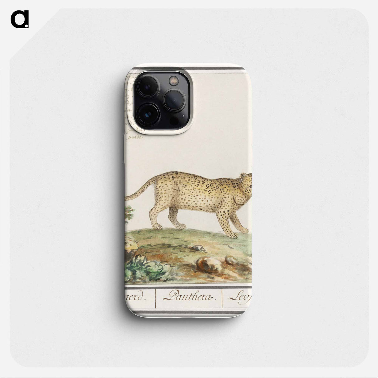 Leopard - アンセルムス ボエティウス デ ブート Phone Case.