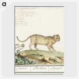 2-55_Anselmus-Boetius-de-Boodt_picture-crop