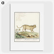 2-55_Anselmus-Boetius-de-Boodt_picture