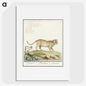 2-55_Anselmus-Boetius-de-Boodt_picture