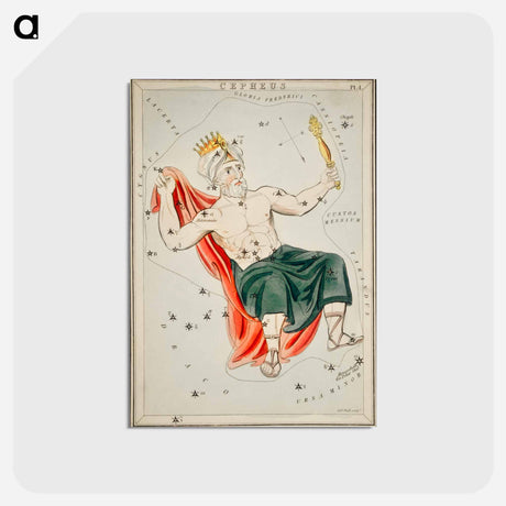 アートポストカード-Sidney Hall’s astronomical chart illustration of the Cepheus - アンティーク地図 Postcard.