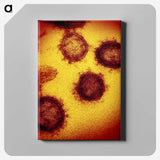 2-55_COVID-19_canvas