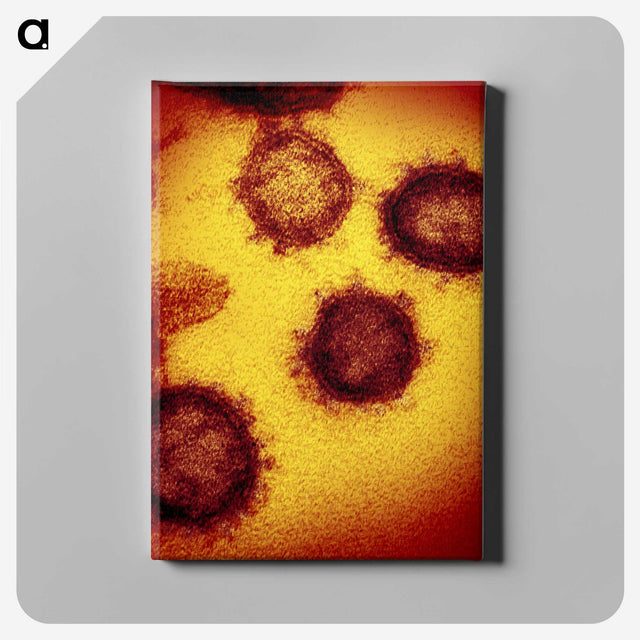 2-55_COVID-19_canvas