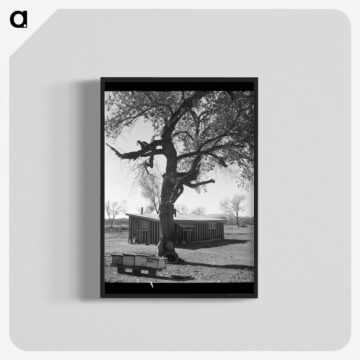 2-55_Dorothea-Lange_blk-crop
