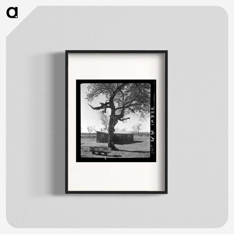 2-55_Dorothea-Lange_blk