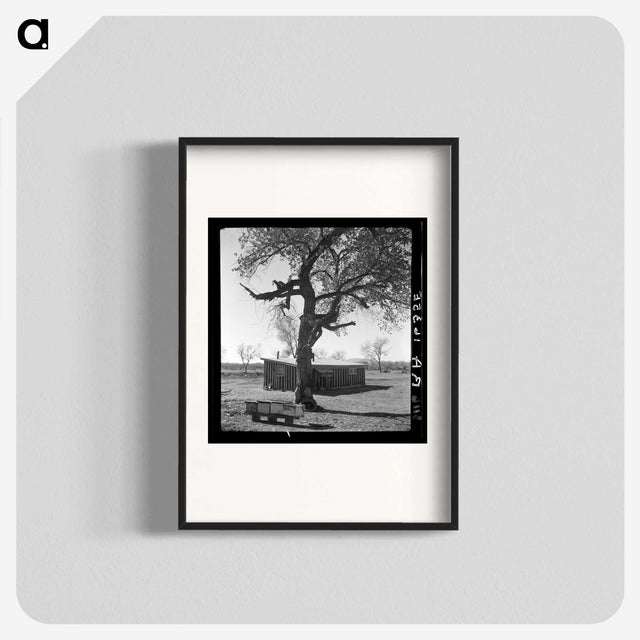 2-55_Dorothea-Lange_blk