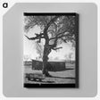 2-55_Dorothea-Lange_canvas
