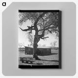 2-55_Dorothea-Lange_canvas