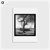 2-55_Dorothea-Lange_hagaki