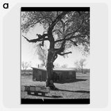 2-55_Dorothea-Lange_picture-crop