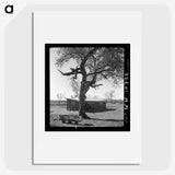 2-55_Dorothea-Lange_picture