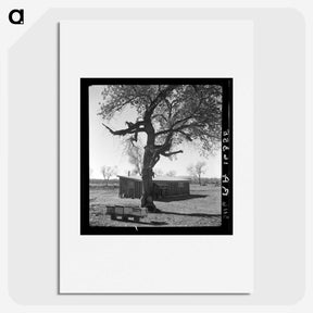 2-55_Dorothea-Lange_picture