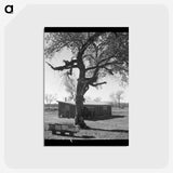 2-55_Dorothea-Lange_postcard