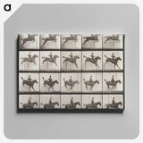 2-55_Eadweard-Muybridge_canvas