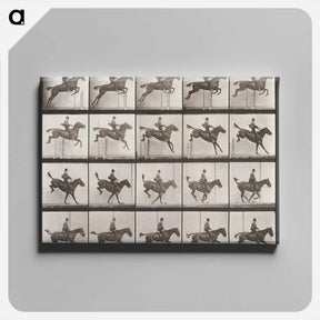 アートパネル-Animal Locomotion Plate 637
 - エドワード マイブリッジ Canvas.