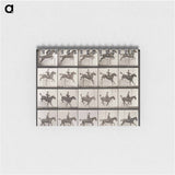 アートメモ帳-Animal Locomotion Plate 637
 - エドワード マイブリッジ Memo.