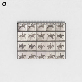 アートメモ帳-Animal Locomotion Plate 637
 - エドワード マイブリッジ Memo.