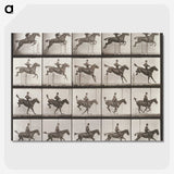 2-55_Eadweard-Muybridge_picture-crop
