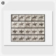 2-55_Eadweard-Muybridge_picture