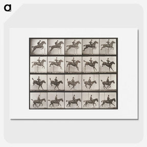 2-55_Eadweard-Muybridge_picture