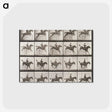 2-55_Eadweard-Muybridge_postcard
