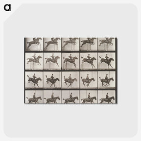 2-55_Eadweard-Muybridge_postcard