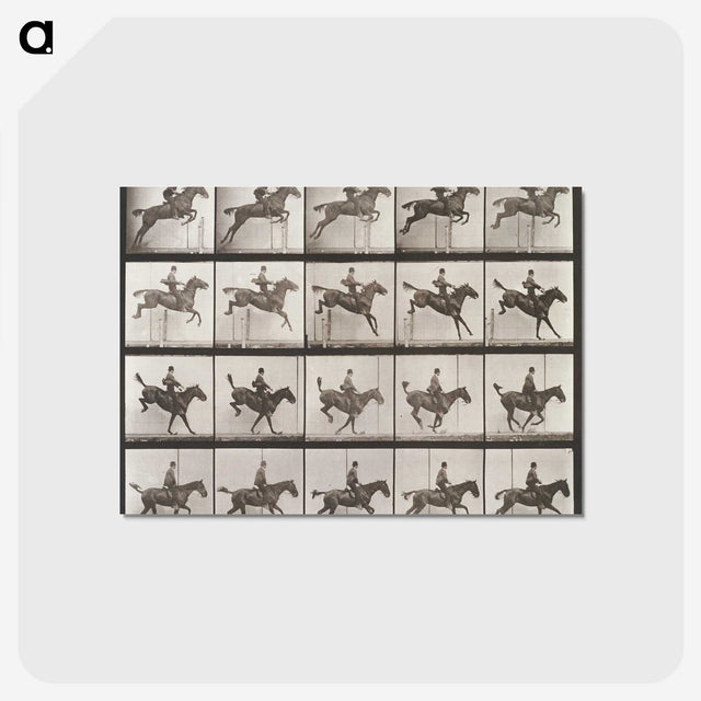 2-55_Eadweard-Muybridge_postcard