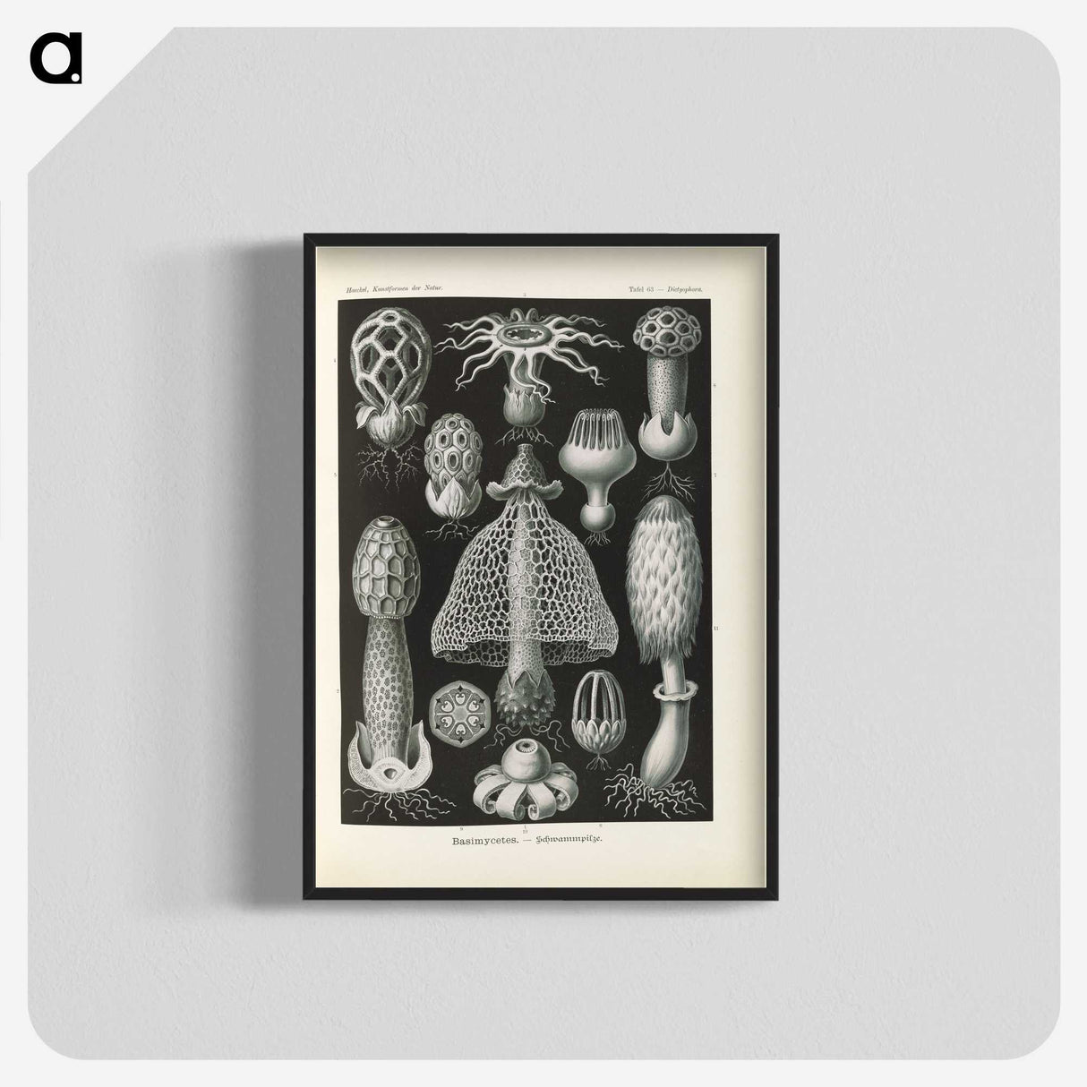 2-55_Ernst-Haeckel_blk-crop