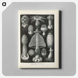 2-55_Ernst-Haeckel_canvas