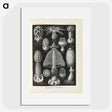 2-55_Ernst-Haeckel_picture